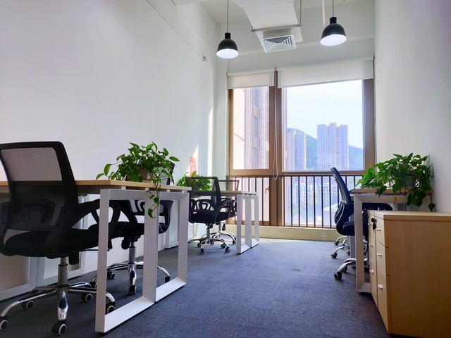 河源玻璃瓶装龟苓膏哪家好